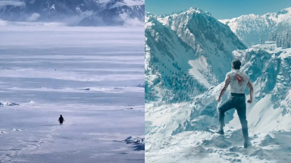 King date announcement reaction: Netizens point out how SRK is like ‘the penguin who chose the mountain’