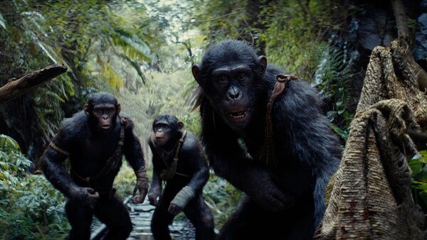 Kingdom of the Planet of the Apes. Film still