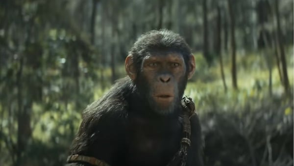 Kingdom of the Planet of the Apes. Film still