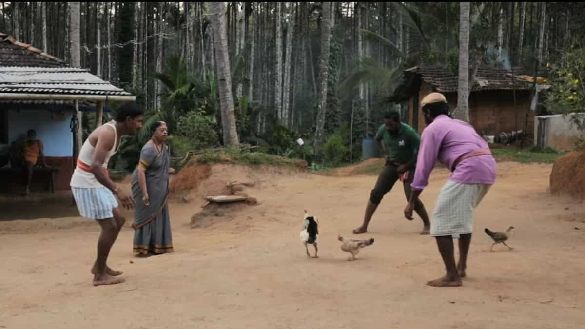 Koli Taal trailer: A visiting grandson and the case of a missing rooster