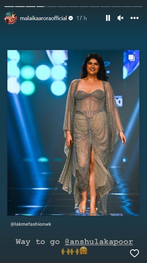 Malaika Arora congratulating Anshula Kapoor with an Instagram story