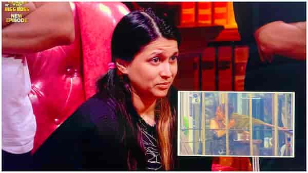 Bigg Boss 17 - Ayesha Khan’s mirchi powder torture, Isha Malviya’s slap incident and more; Will Mannara Chopra’s safety concerns be addressed soon?