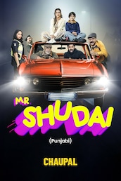 Mr.Shudai