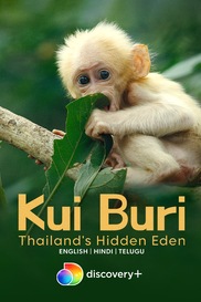 Kui Buri: Thailand's Hidden Eden
