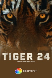 Tiger 24