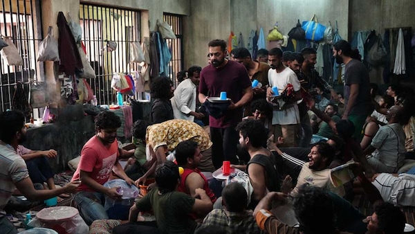 Still from Monkey in a Cage.