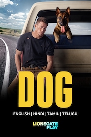 Dog