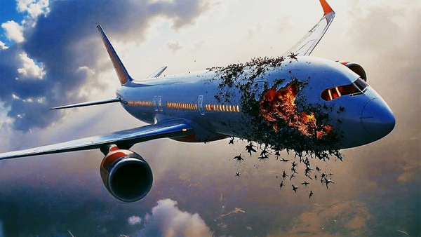 Still from Fight or Flight | Lionsgate Play