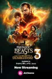 Fantastic Beasts: The Secrets of Dumbledore