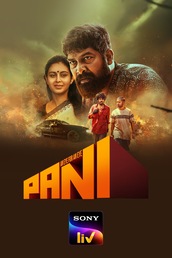 Pani