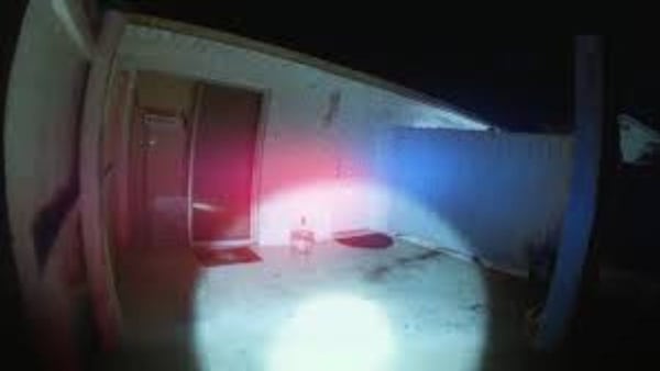 The Perfect Neighbor: The United States Of Horror