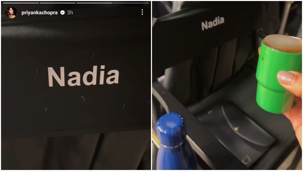 Screengrabs From Priyanka Chopra Jonas' Instagram Story