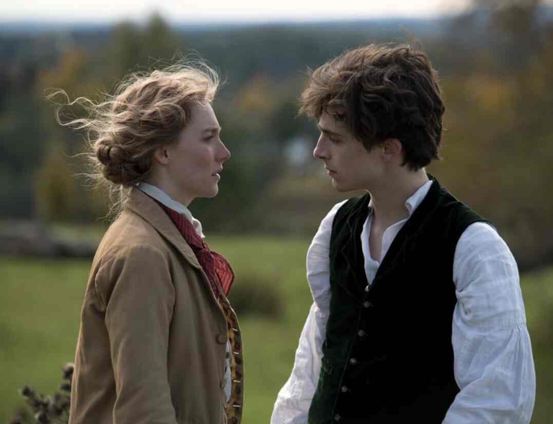 Timothée Chalamet played the role of Laurie in the 2019 adaptation of which Louisa May Alcott novel?		