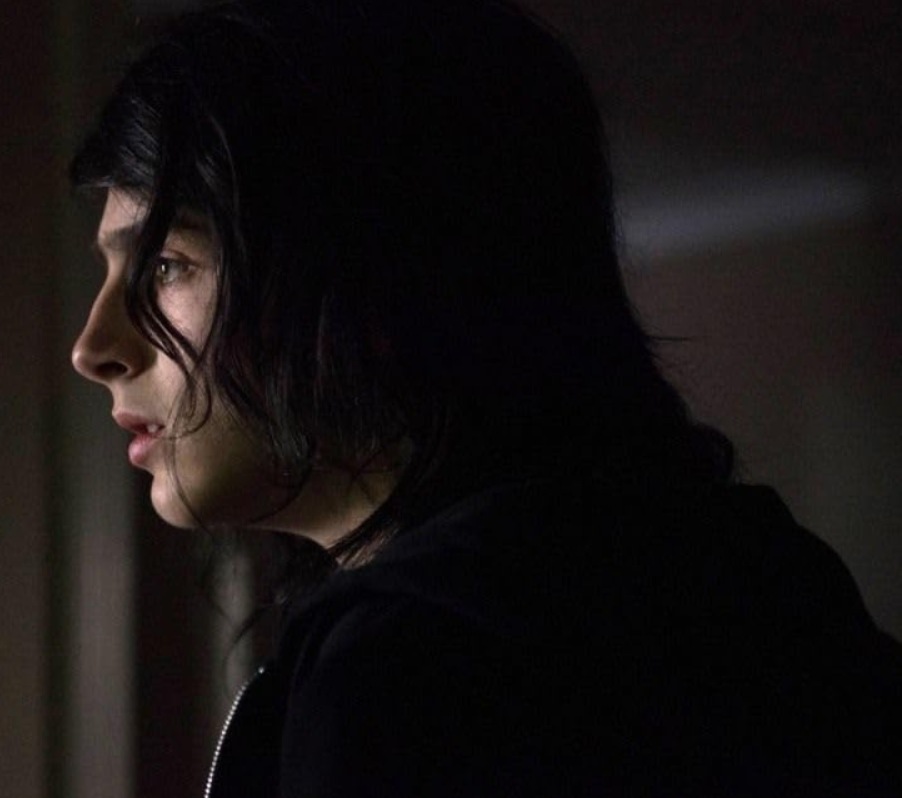 Timothée Chalamet portrayed the role of the teenage version of James Franco's character in the film The ______ Diaries. Fill in the blank.