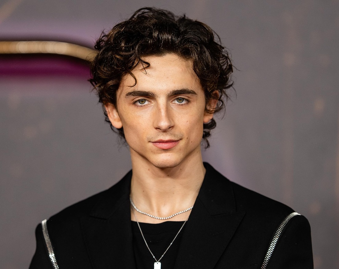Timothée Chalamet reportedly learnt how to speak which language when shooting for the film Call Me by Your Name ?