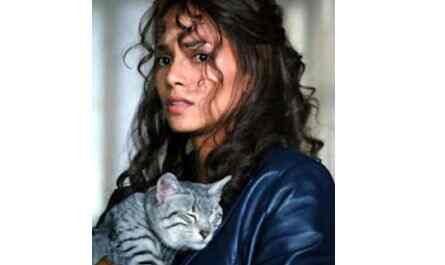 The ultimate quiz on Halle Berry