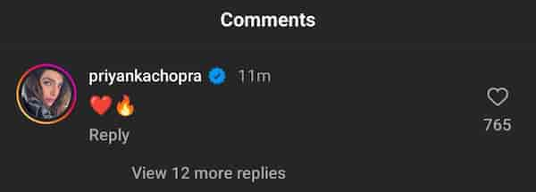 Priyanka Chopra's comment