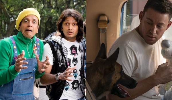 Best comedy movies on OTT where laughter and dramatic twists make them unforgettable