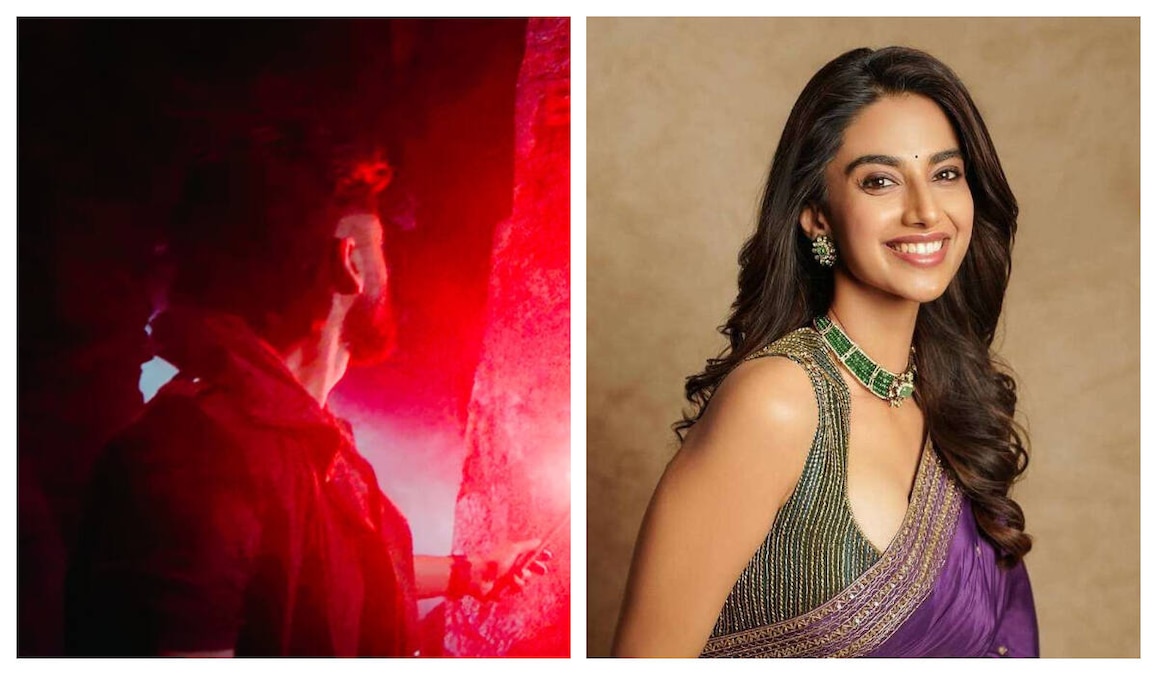 Meenakshi Choudhary joins Naga Chaitanya's next: To play an archeologist in the mystic thriller