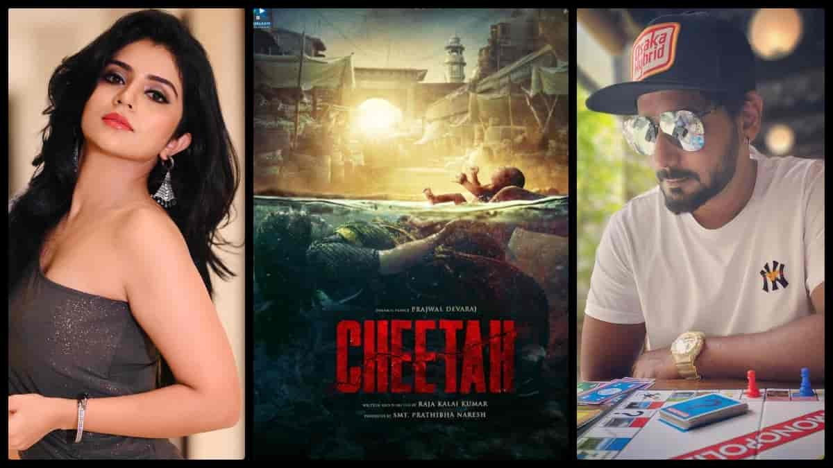 Megha Shetty roped in to play female lead opposite Prajwal Devaraj in 'Cheetah'