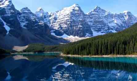 Attempt this quiz on Sylvester Stallone