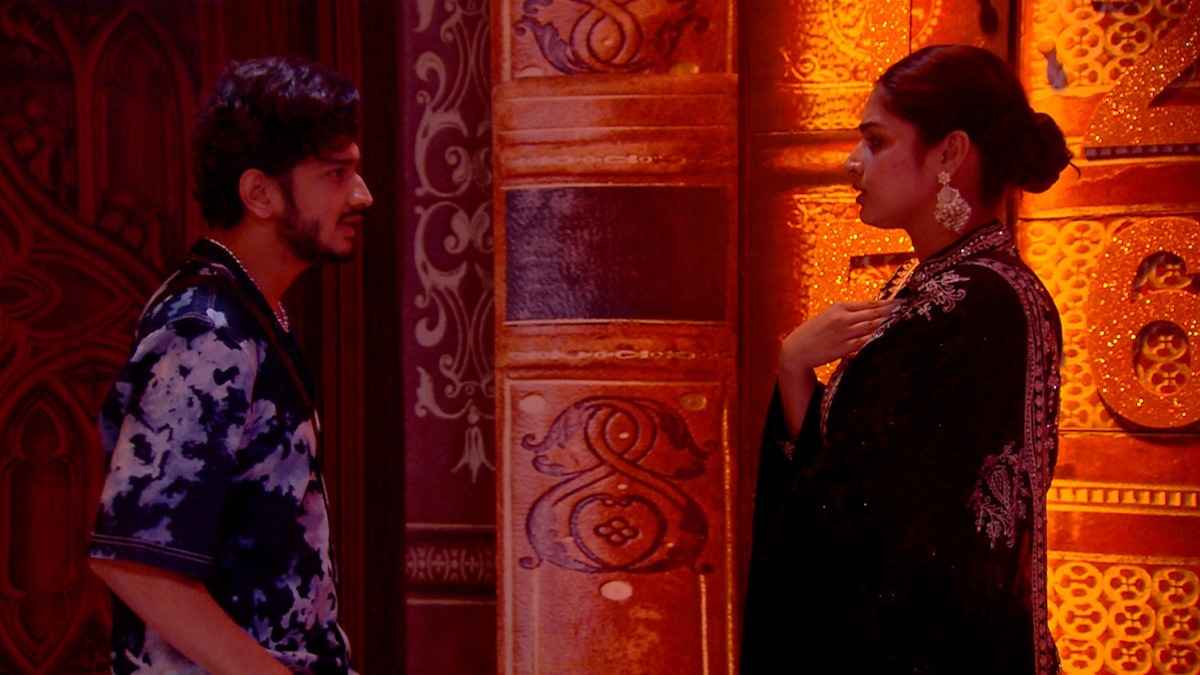 Bigg Boss 17 - Ayesha Khan reacts to being trolled by Munawar Faruqui fans; 'Mere liye real aur sensitive log...'