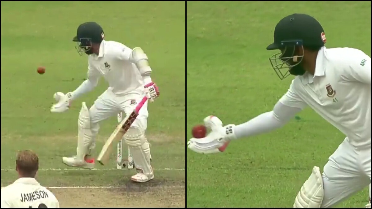 BAN vs NZ: WATCH Mushfiqur Rahim become 1st Bangladesh player to be dismissed for handling the ball