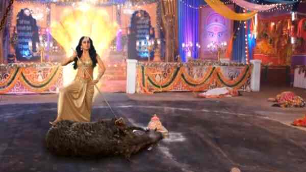 Naagin 6: Pratha helps daughter Prathna to KILL the evil creature, Professor REVEALS the biggest truth to Sheshnaagin - Watch