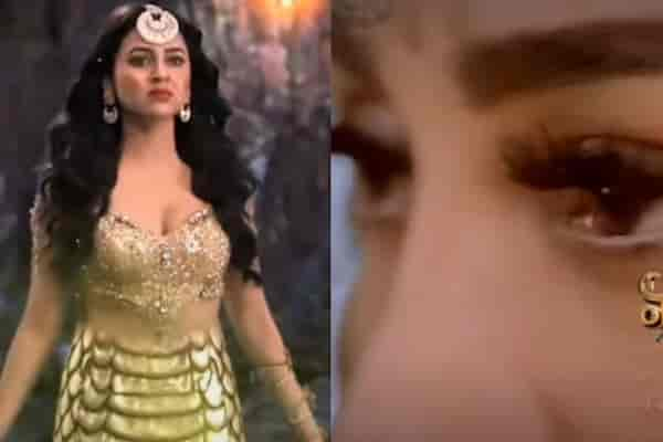 Naagin 6: Will Mahek return to challenge Pratha and Prarthana?