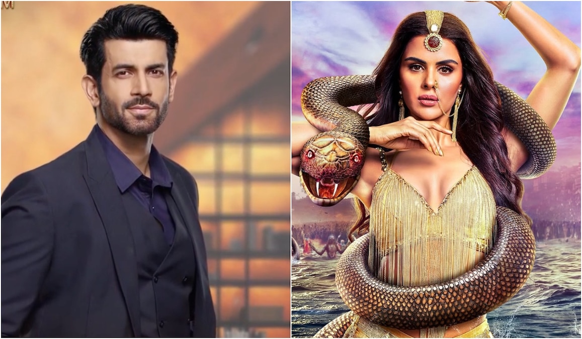 Naagin 7 on OTT: Namik Paul as Aryaman looks determined in Priyanka Chahar Choudhary’s serpent series, Watch promo