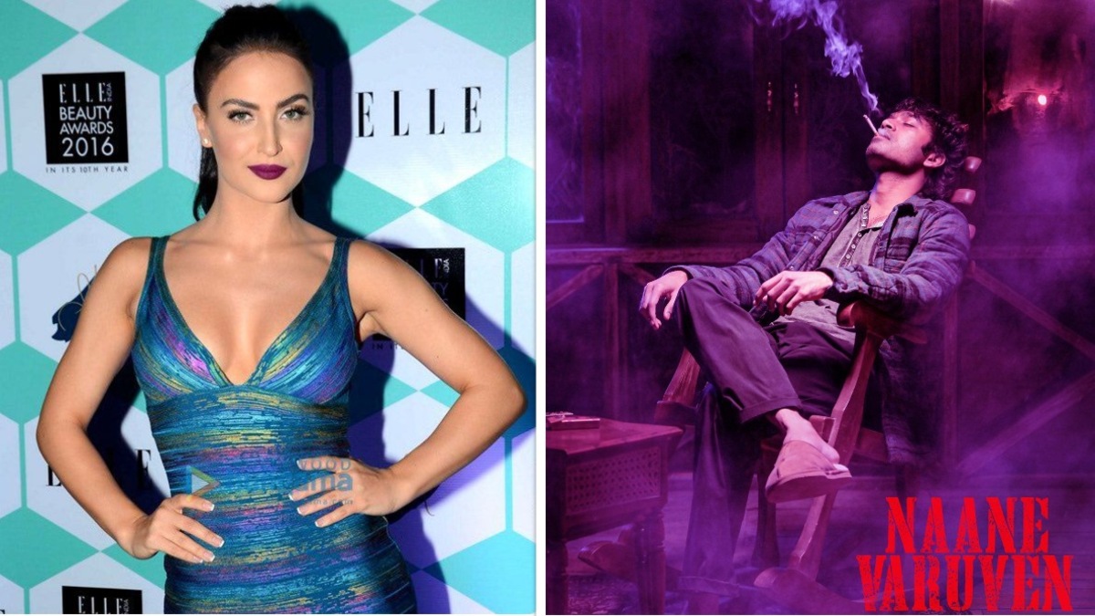 Buzz: Elli Avr Ram to be paired opposite Dhanush in Selvaraghavan's most-anticipated Naane Varuven