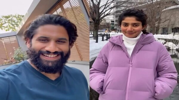 Thandel stars Naga Chaitanya and Sai Pallavi surprise fans with a special V-Day wish | Watch here