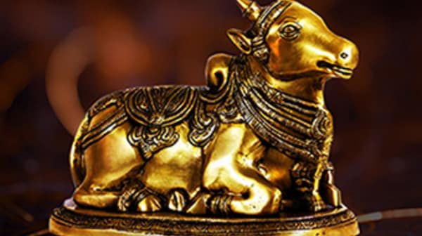 The prestigious Nandi Awards are back: To be held on 12th August in Dubai