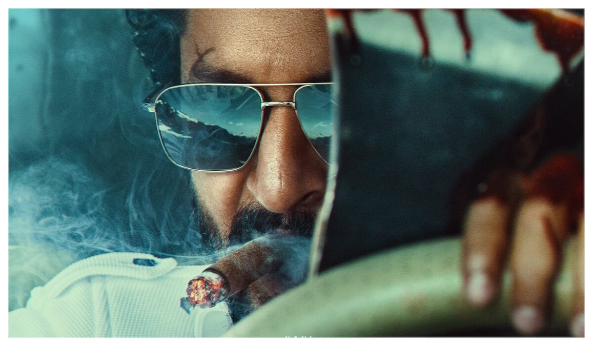 HIT 3: Is THIS popular Hindi actor playing a villain in the Nani starrer? Here's the truth | Exclusive