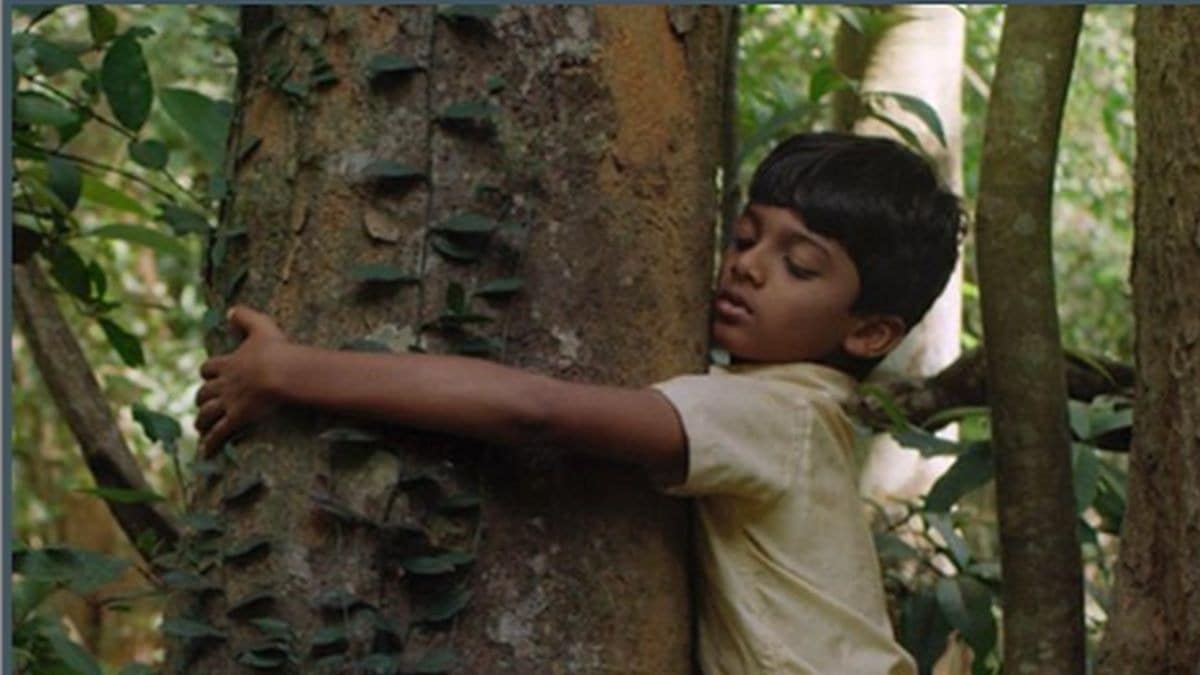 Neeli Hakki movie review: Ganesh Hegde explores home and the idea of belonging through the eyes of a child