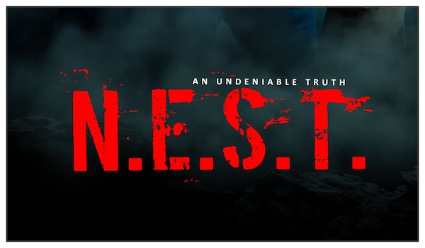 N.E.S.T OTT release