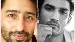 Pavitra Rishta 2.0: Shaheer Sheikh to play Sushant Singh Rajput's role, confirms casting director