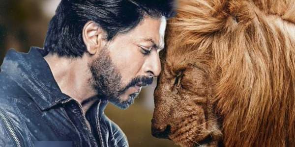 Shah Rukh Khan- Atlee's upcoming film is titled 'Lion'? A leaked letter suggests so...