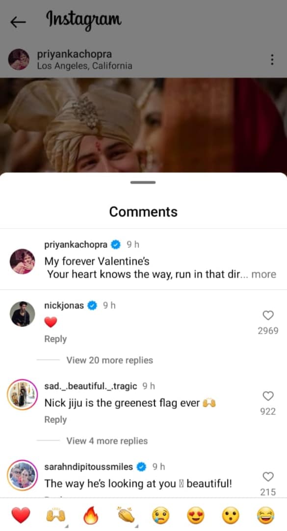 Nick Jonas netizens react to Priyanka Chopra's Valentine's Day post