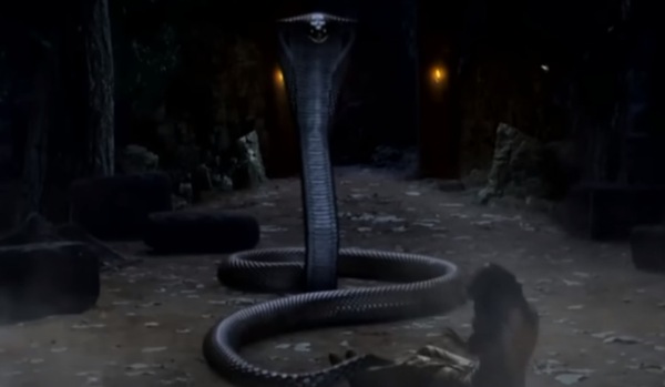 Naagin 6: Prathna witnesses a black snake attacking her, Pratha says she is 'hallucinating'