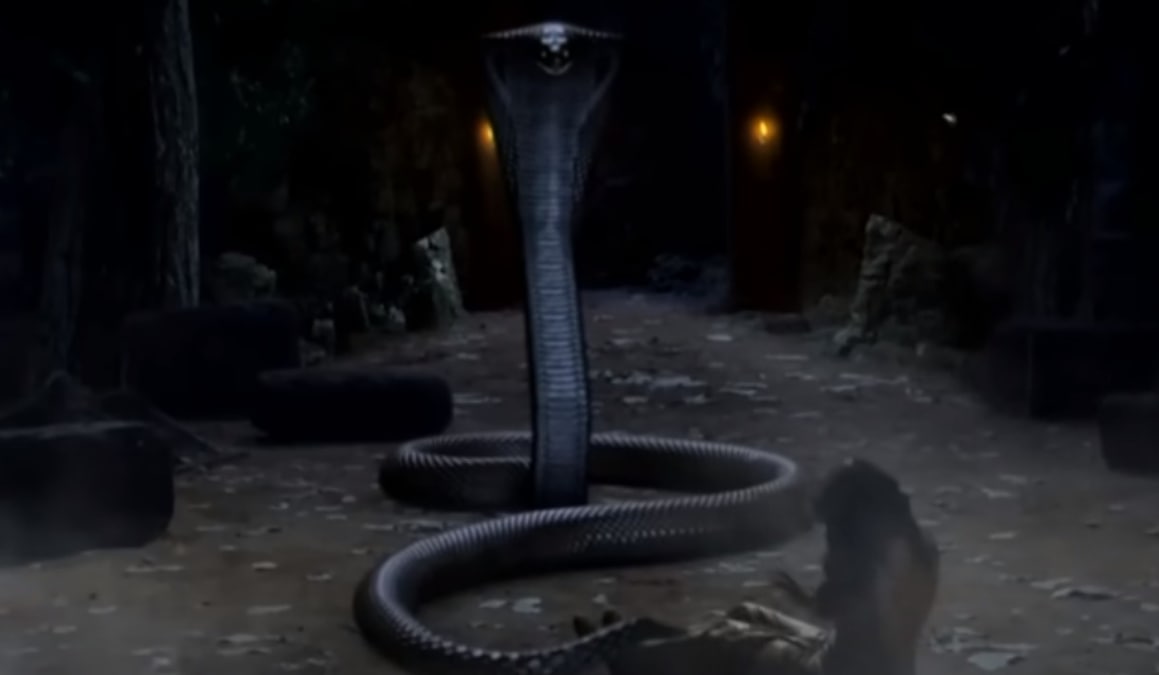 Naagin 6: Prathna witnesses a black snake attacking her, Pratha says she is 'hallucinating'
