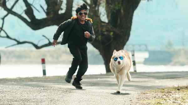 Oh My Dog movie review: Uninspired writing drowns this desi version of 101 Dalmatians