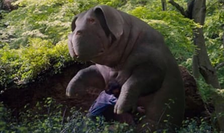 Okja's face is modelled after which marine mammal?