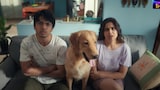 Pet Puraan review: Sai Tamhankar-Lalit Prabhakar's series is cute, heartwarming and too much fun