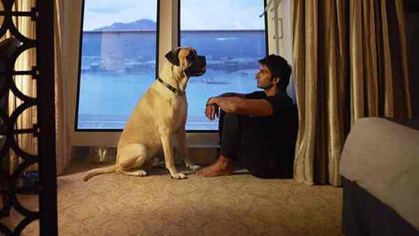 Pluto Mehra, the bull mastiff in Dil Dhadakne Do