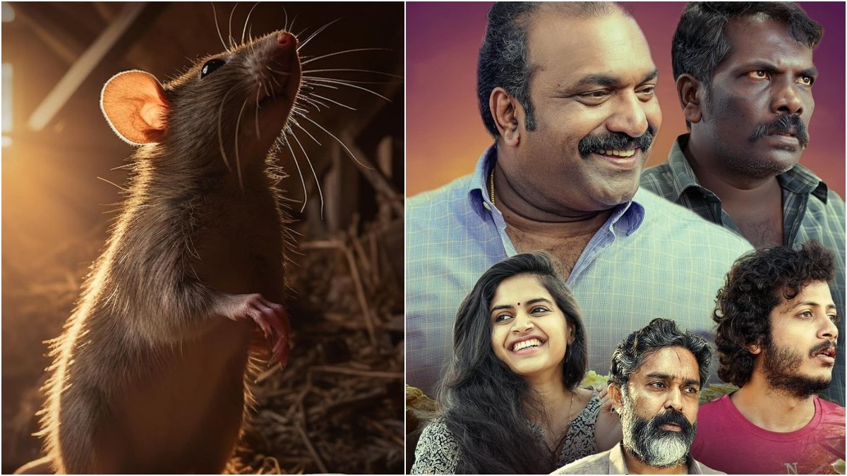 Jerry out of OTT: Here's where to stream Kottayam Nazeer-starrer family drama online