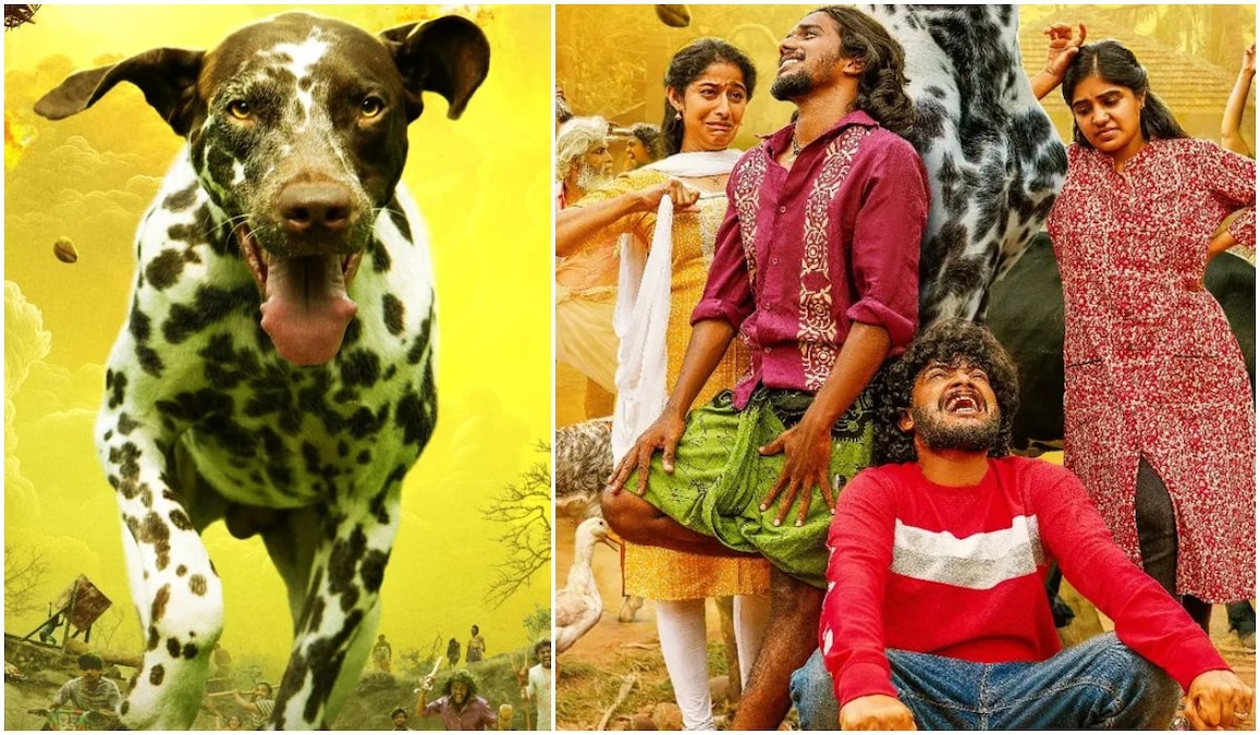 Pennum Porattum Review: Rajesh Madhavan's film is funny simply due to the mayhem in a village of oddballs