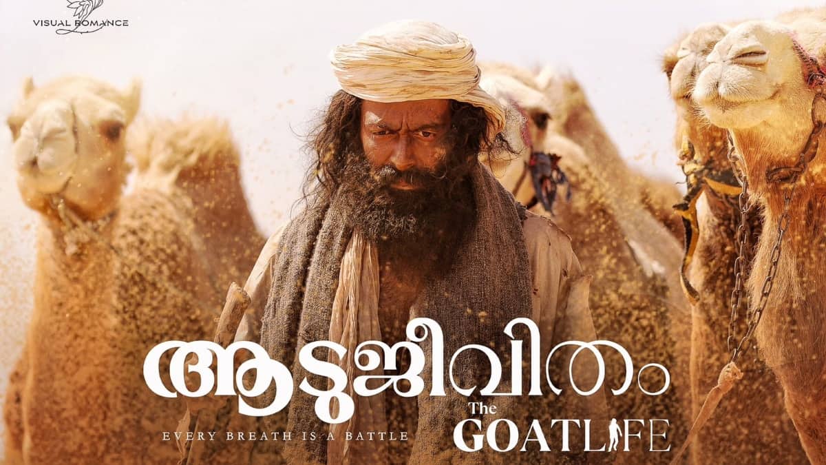 Aadujeevitham Box Office Collection Day 14 - Prithviraj, Blessy’s film sets new record; makes Rs. 125 crore worldwide