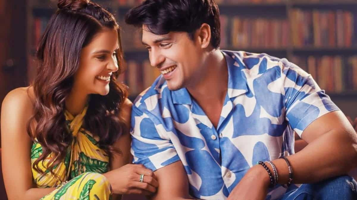 Excited To Watch PriyAnkit On Screen Again? Here's Where You Might