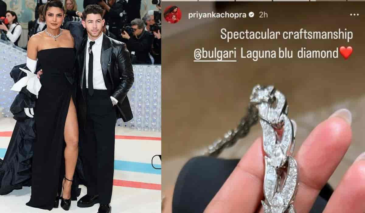 Rs 204 crores! That’s the reported cost of Priyanka Chopra's diamond necklace at ‘Met Gala 2023’